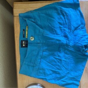 Anthropologie Blue Women's Shorts